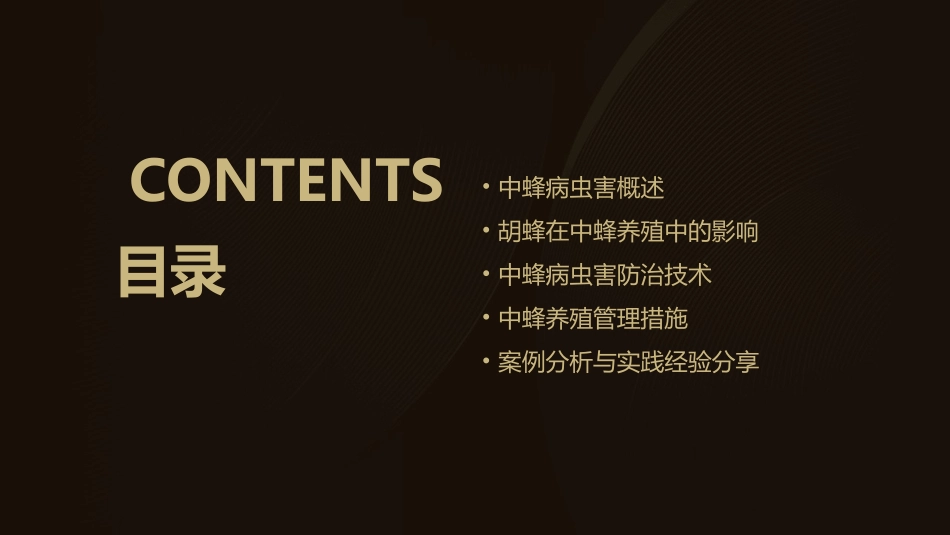 中蜂病虫害胡蜂护理课件_第2页