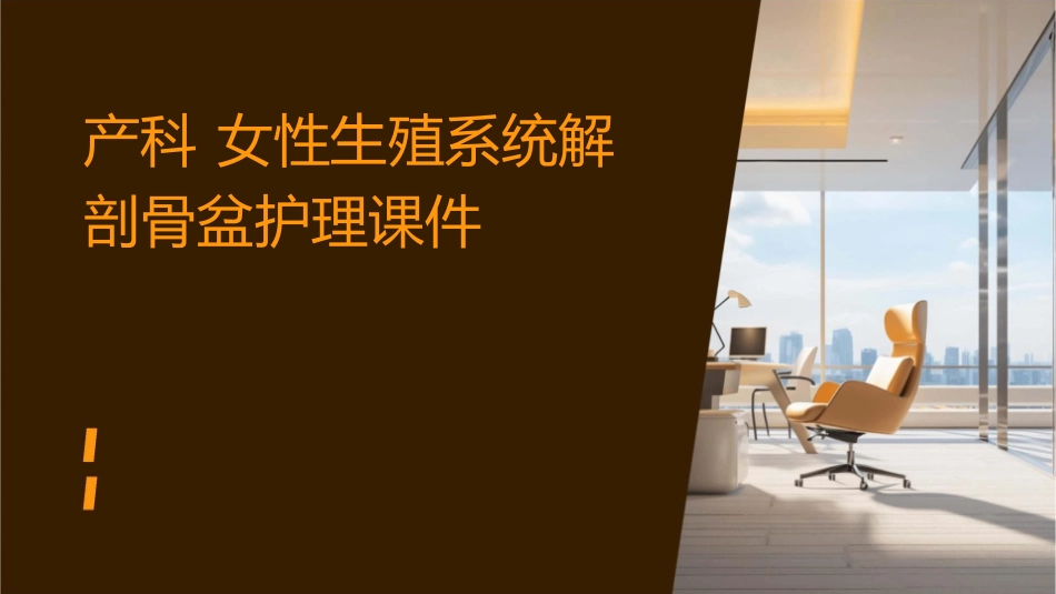 产科 女性生殖系统解剖骨盆护理课件1_第1页