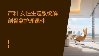 产科 女性生殖系统解剖骨盆护理课件1