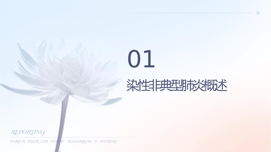 传染性非典型肺炎课件1_第3页