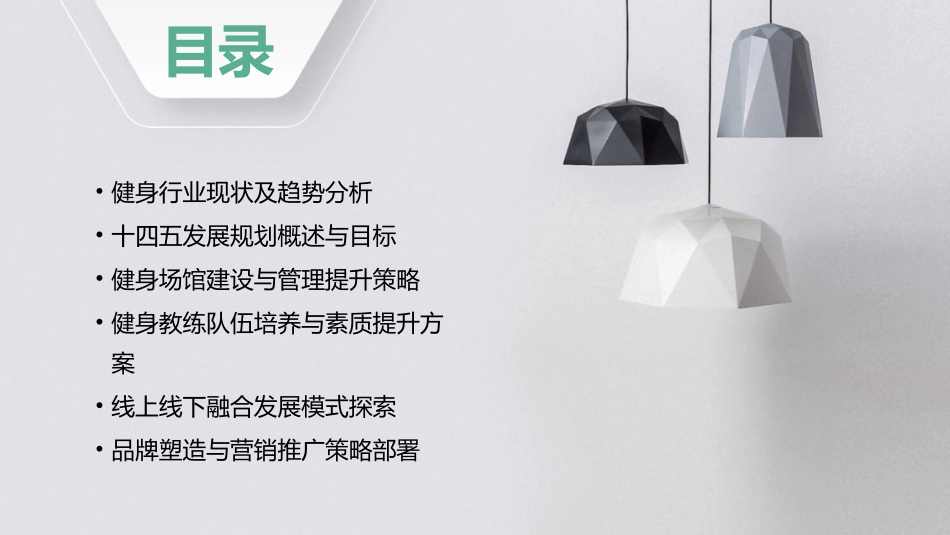 健身行业十四五发展规划培训材料_第2页