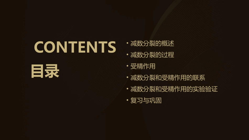 高二生物必修二减数分裂和受精作用课件_第2页