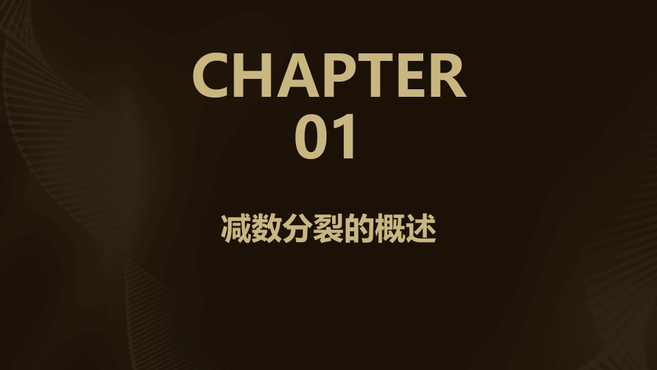 高二生物必修二减数分裂和受精作用课件_第3页