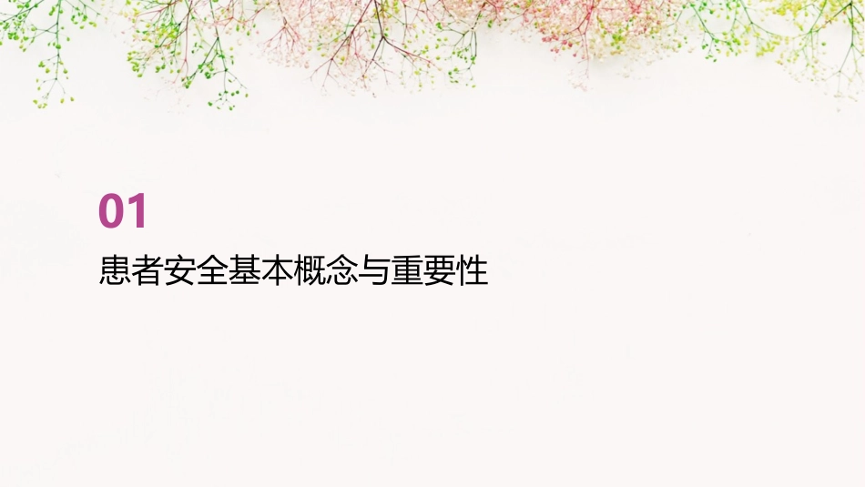 患者安全教育培训护理课件_第3页