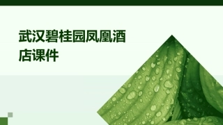 武汉碧桂园凤凰酒店课件