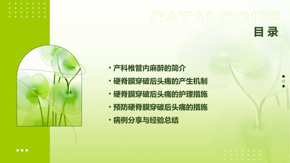 产科椎管内麻醉常见并发症—硬脊膜穿破后头痛护理课件_第2页