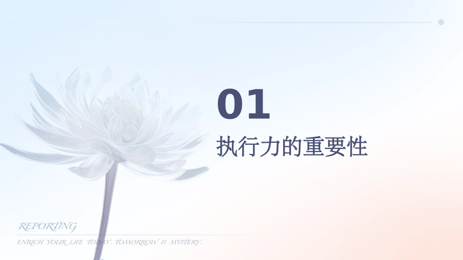 谭小芳打造高效的执行力课件_第3页