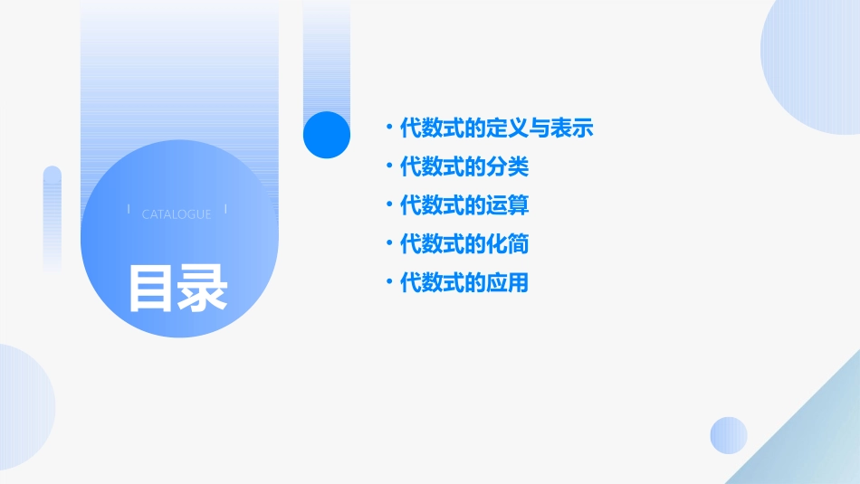 代数式通用课件一_第2页