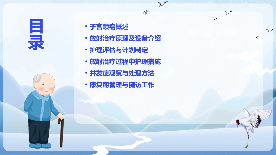 Ⅳ期子宫颈癌放射治疗护理课件_第2页