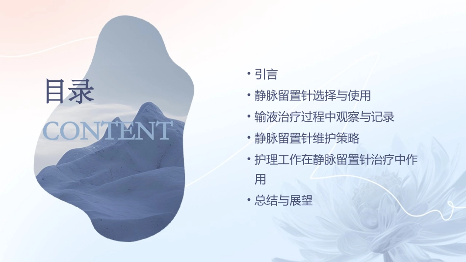 INS输液治疗静脉留置针的维护与护理_第2页