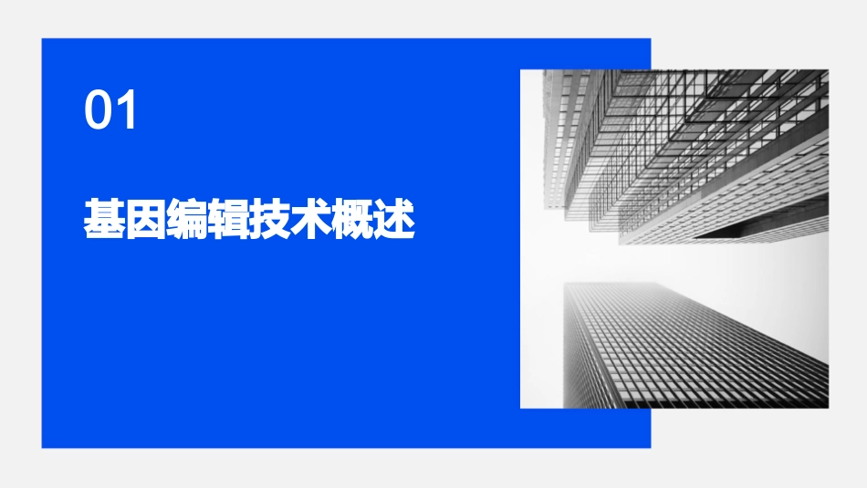 遗传学基础基因编辑技术_第3页