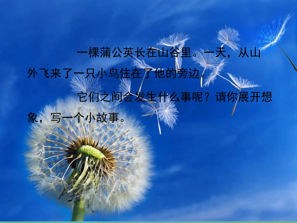 蒲公英和小鸟_第2页