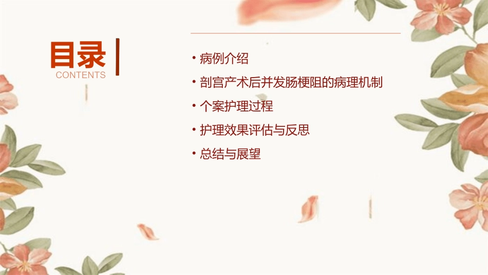 一例剖宫产术后并发肠梗阻个案护理课件_第2页