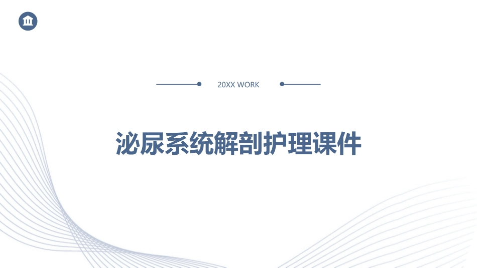 泌尿系统的解剖护理课件_第1页