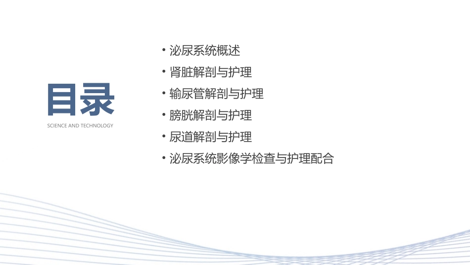 泌尿系统的解剖护理课件_第2页