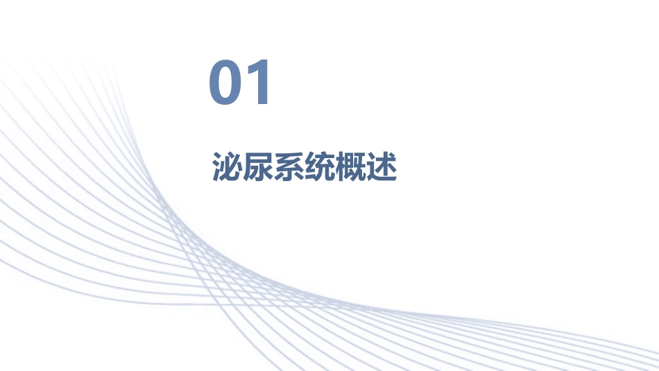 泌尿系统的解剖护理课件_第3页