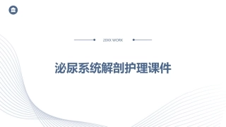 泌尿系统的解剖护理课件