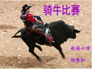 骑牛比赛课件