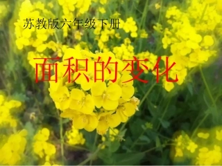 数学活动课《面积的变化》课件