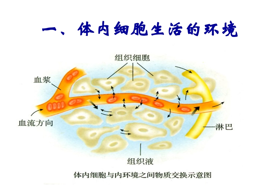 《细胞生活的环境》课件_第2页