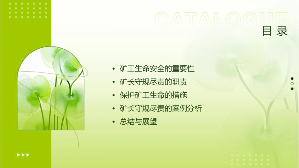 保护矿工生命矿长守规尽责课件1_第2页
