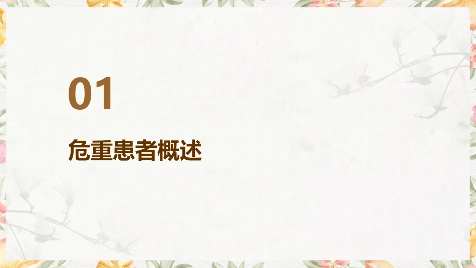 危重患者镇静镇痛治疗与护理实践指南_第3页