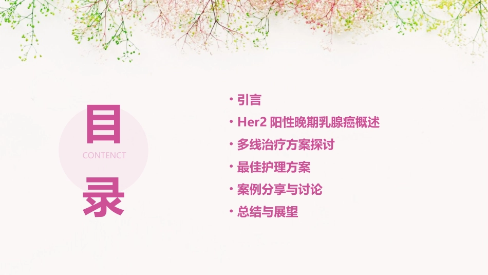 2020HER2阳性晚期乳腺癌多线治疗最佳方案探讨护理课件_第2页