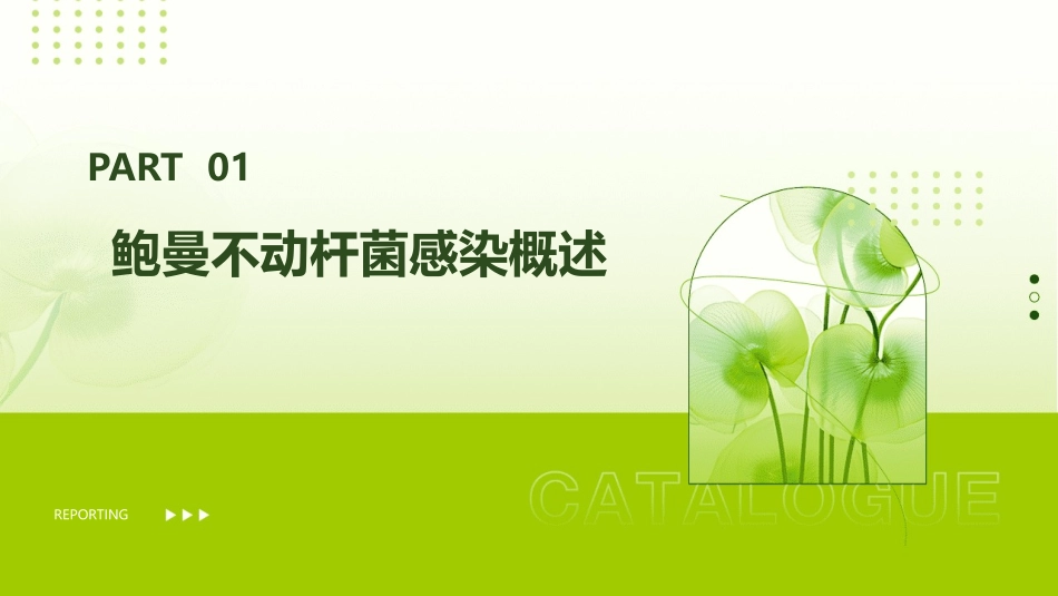 中国鲍曼不动杆菌感染诊治和防控专家共识护理课件_第3页