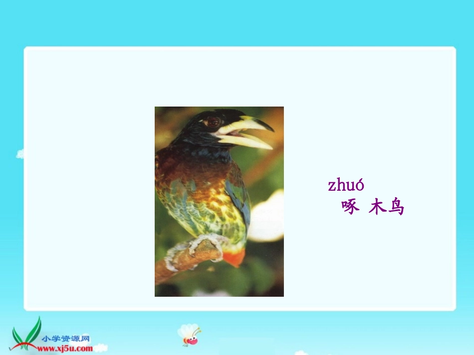 苏教版一年级语文下册《放小鸟》课件_第2页