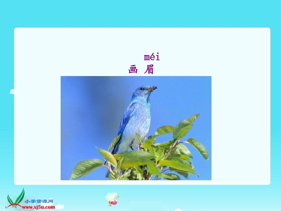 苏教版一年级语文下册《放小鸟》课件_第3页