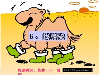 三年级语文找骆驼