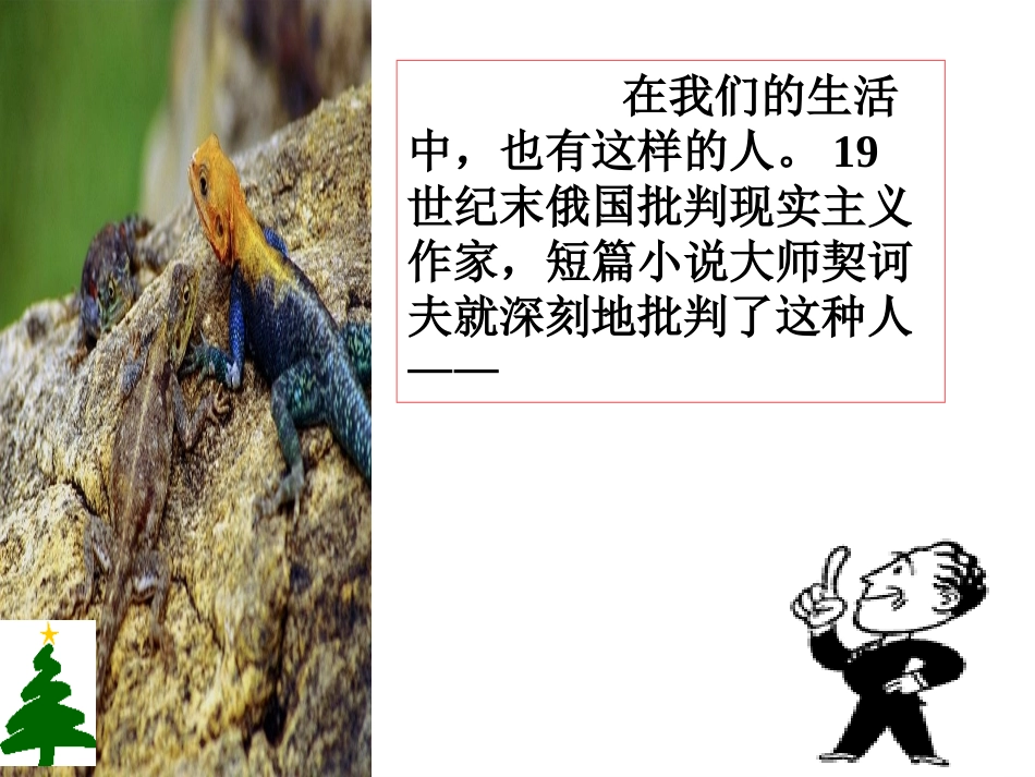 变色龙 (2)_第3页