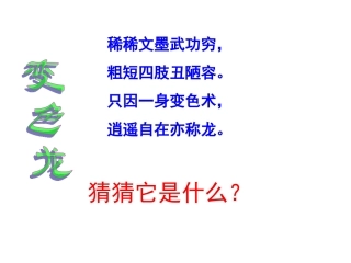 变色龙 (2)