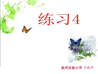 苏教版六年级练习4课件
