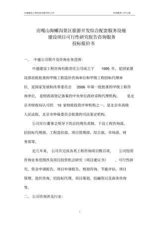 中通公司海螺沟可研咨询投标书分析