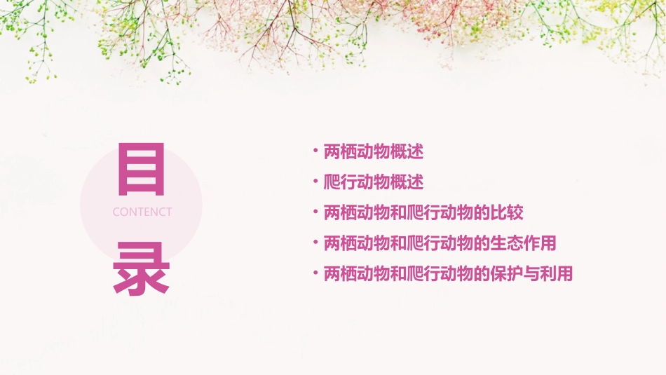 第五节两栖动物和爬行动物课件_第2页