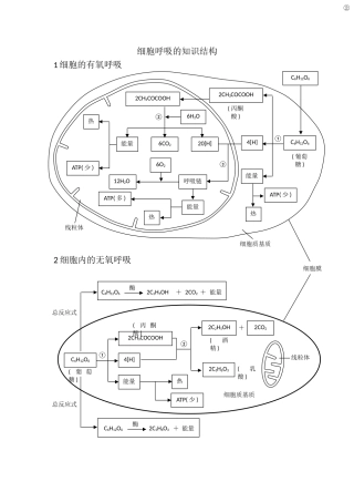 细胞呼吸的知识结构
