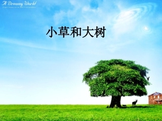 小草和大树课件