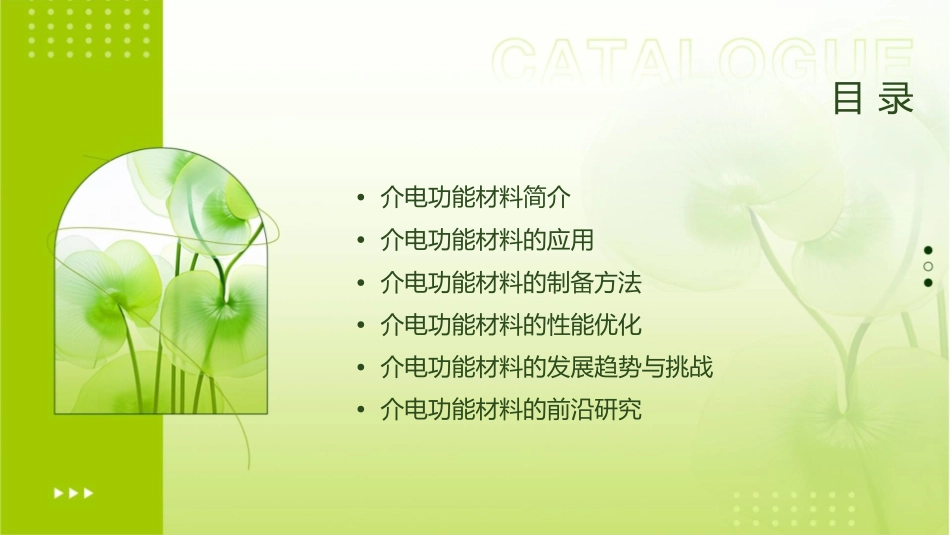 介电功能材料概要课件1_第2页