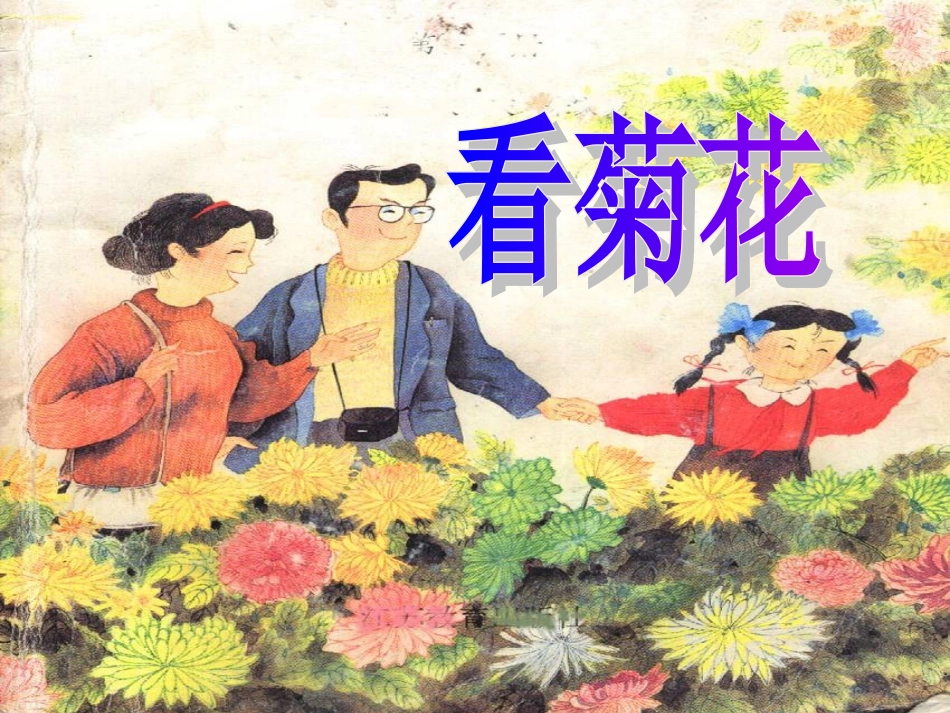 看菊花 (2)_第1页