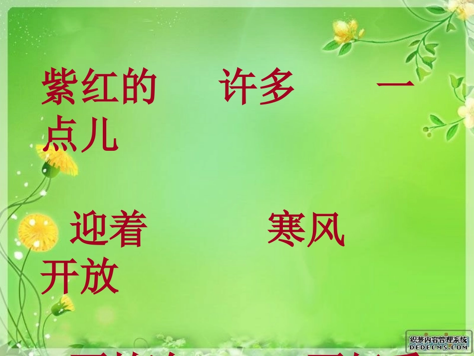看菊花 (2)_第2页
