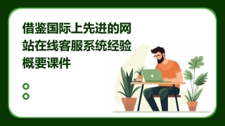 借鉴国际上先进的网站在线客服系统经验概要课件