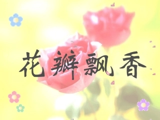 《花瓣飘香》PPT