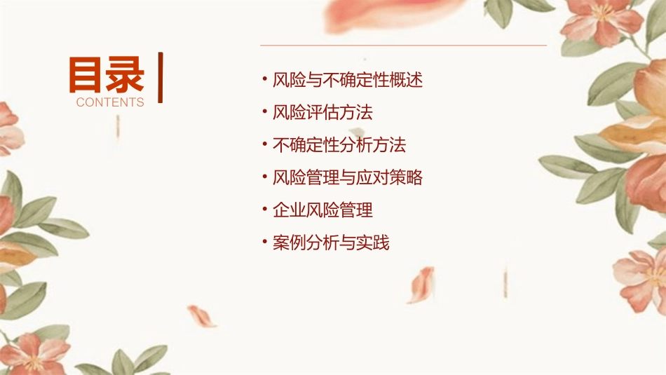 风险与不确定性分析课件_第2页