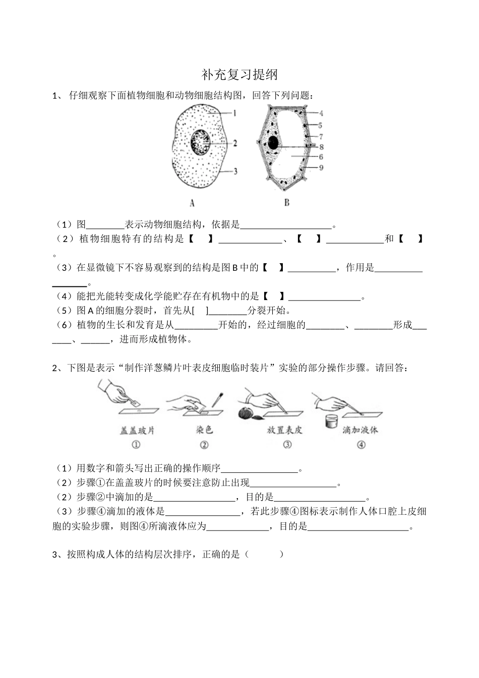 七下补充提纲_第1页