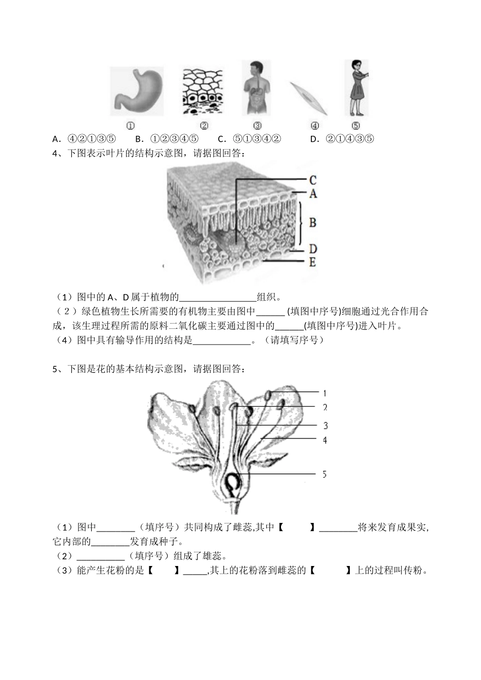 七下补充提纲_第2页