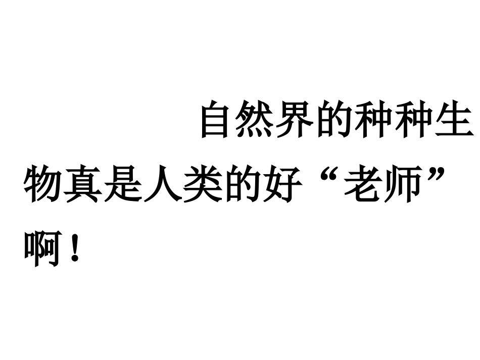 人类的老第二课时1_第3页