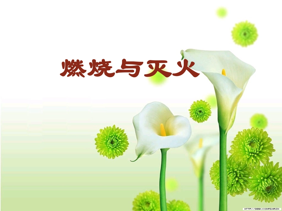 评优课燃烧与灭火课件_第2页