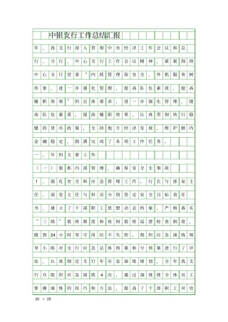 中银支行工作总结汇报精品工作报告