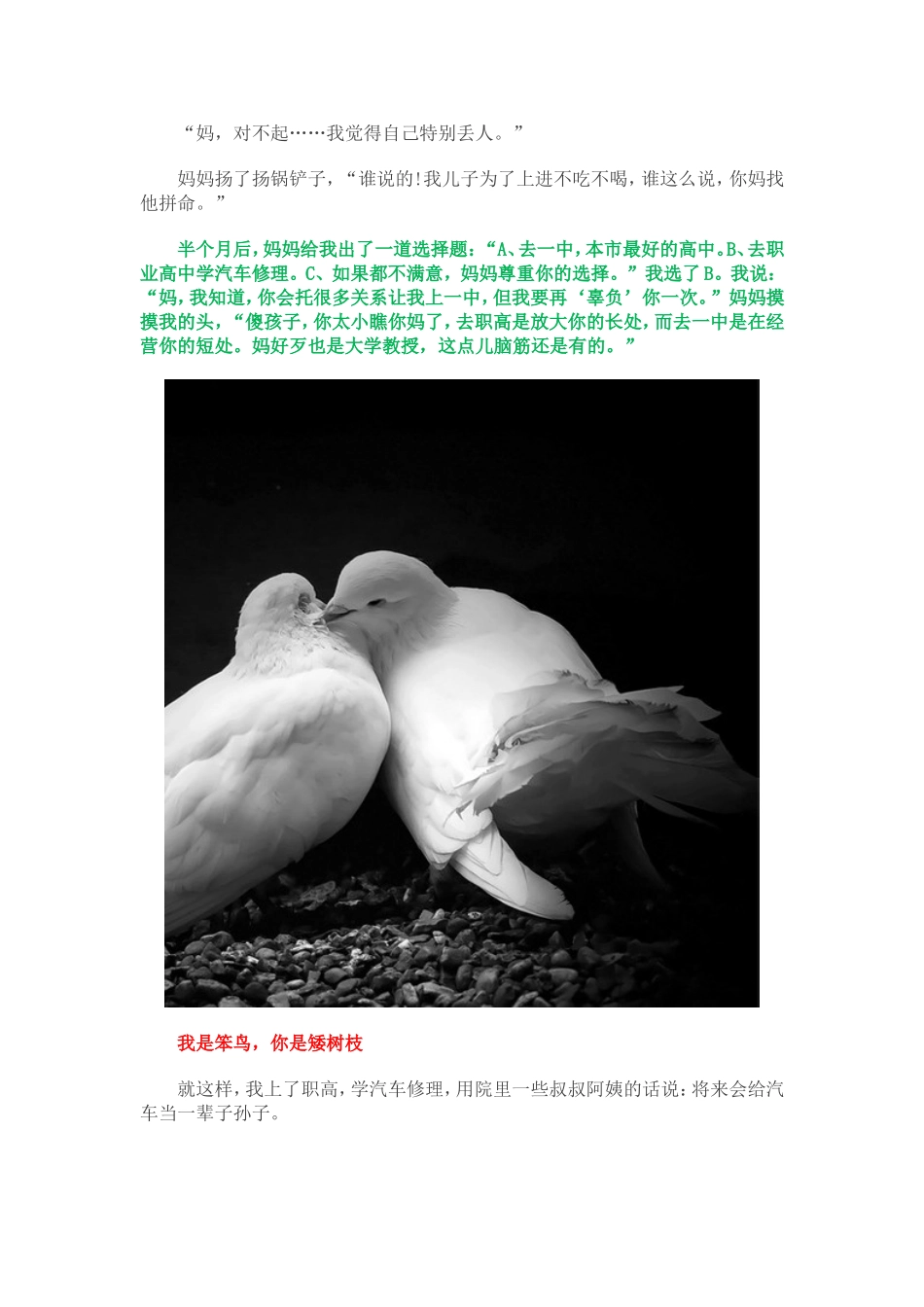 上帝为每一只笨鸟都准备了一个矮树枝_第3页